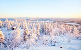 Winterlandschaft in Lappland