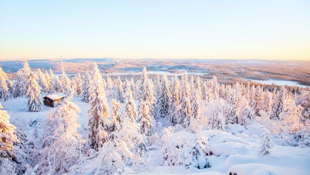 Winterlandschaft in Lappland