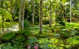 Terra Nostra Garden, Furnas