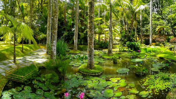 Terra Nostra Garden, Furnas