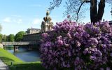 Dresdner Zwinger