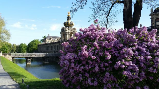 Dresdner Zwinger