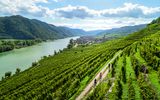 Genussradfahren in der Wachau Weissenkirchen