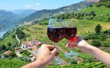 Weinprobe im Douro Tal