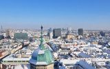 Blick über Wien