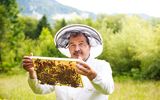 Slow Food Kärnten