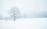 Winderland in Bad Harzburg