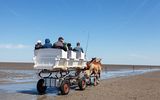 Cuxhaven Kutschfahrt durchs Watt