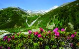 Die Alpenüberquerung - Ein Erlebnis für immer
