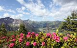 Kleinwalsertal Kuhgehren
