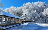 Park in Maribor im Winter