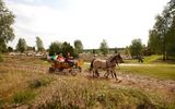 Kutschfahrt durch die Lüneburger Heide