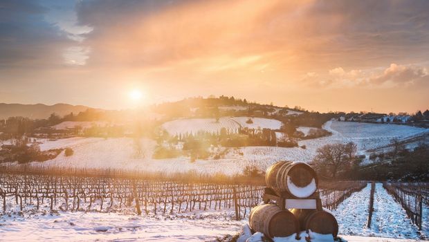 Weingut in Siena im Winter