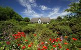 Sylt