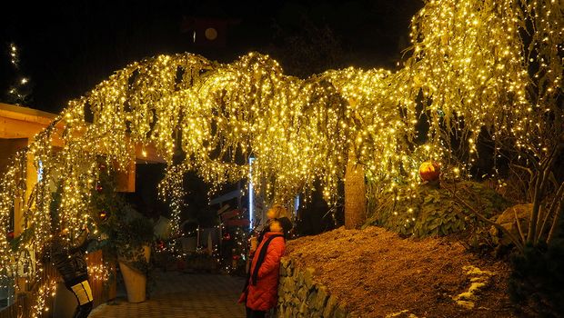  Weihnachtsportal in Kittenberg