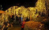  Weihnachtsportal in Kittenberg